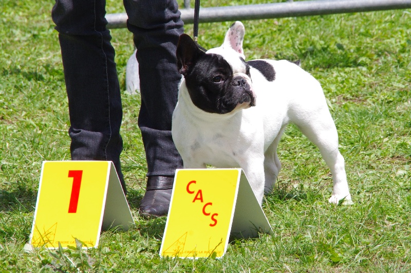 Hilary louise du Golden Child