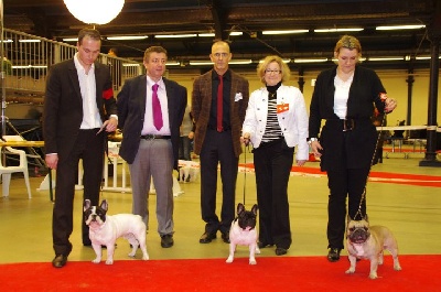 du Golden Child - SPECIALE PARIS DOG SHOW 2011