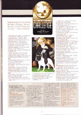 du Golden Child - CHALLENGE VOS CHIENS MAGAZINE