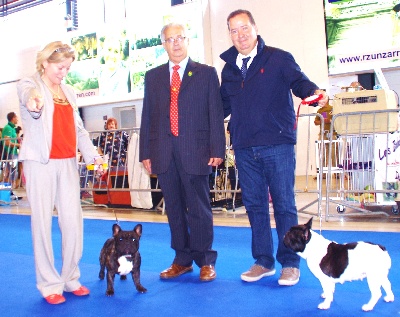 du Golden Child - CACIB PAMPLONA 2012
