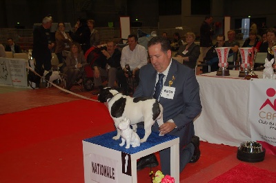 du Golden Child - CHAMPION DE FRANCE