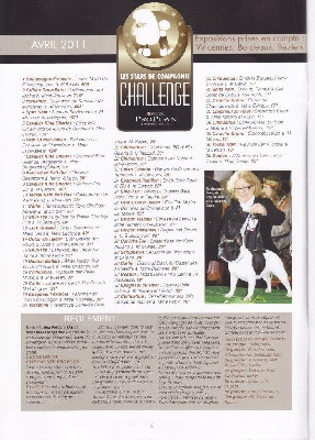 du Golden Child - CHALLENGE VOS CHIENS MAGAZINE