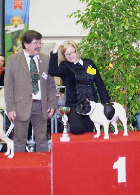 du Golden Child - CACIB DE CASTRES