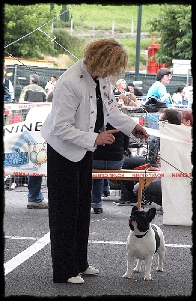 LES EXPOSITIONS CANINES